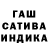 Псилоцибиновые грибы Psilocybe Abyssinia