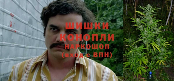 прущие крисы Зеленодольск