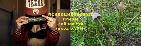 альфа пвп Заволжск