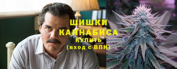 прущие крисы Зеленодольск