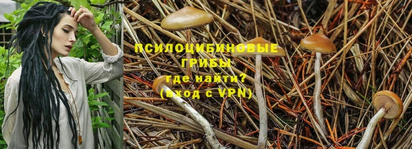 прущие крисы Зеленодольск